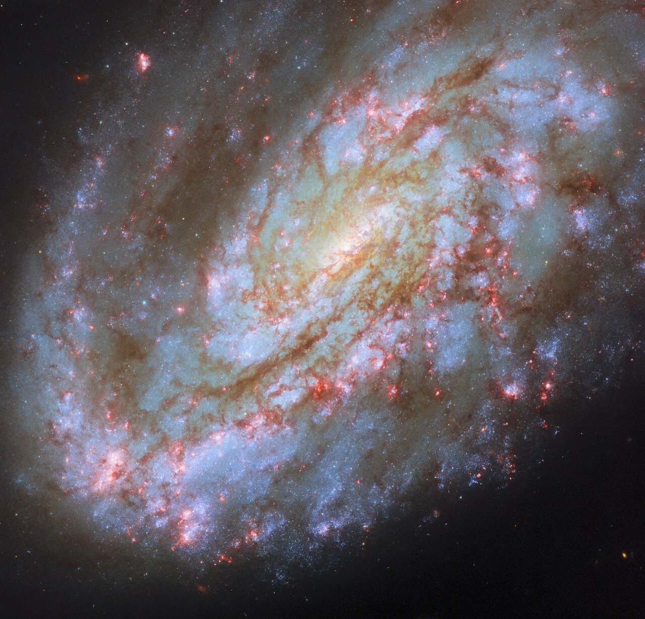 正面朝向观测者且旋臂明显不对称的星系 NGC 4654